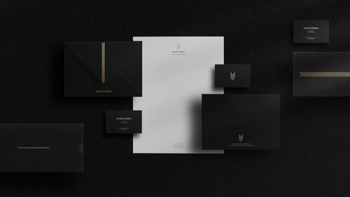 巴西商業(yè)咨詢公司maestrina品牌設(shè)計